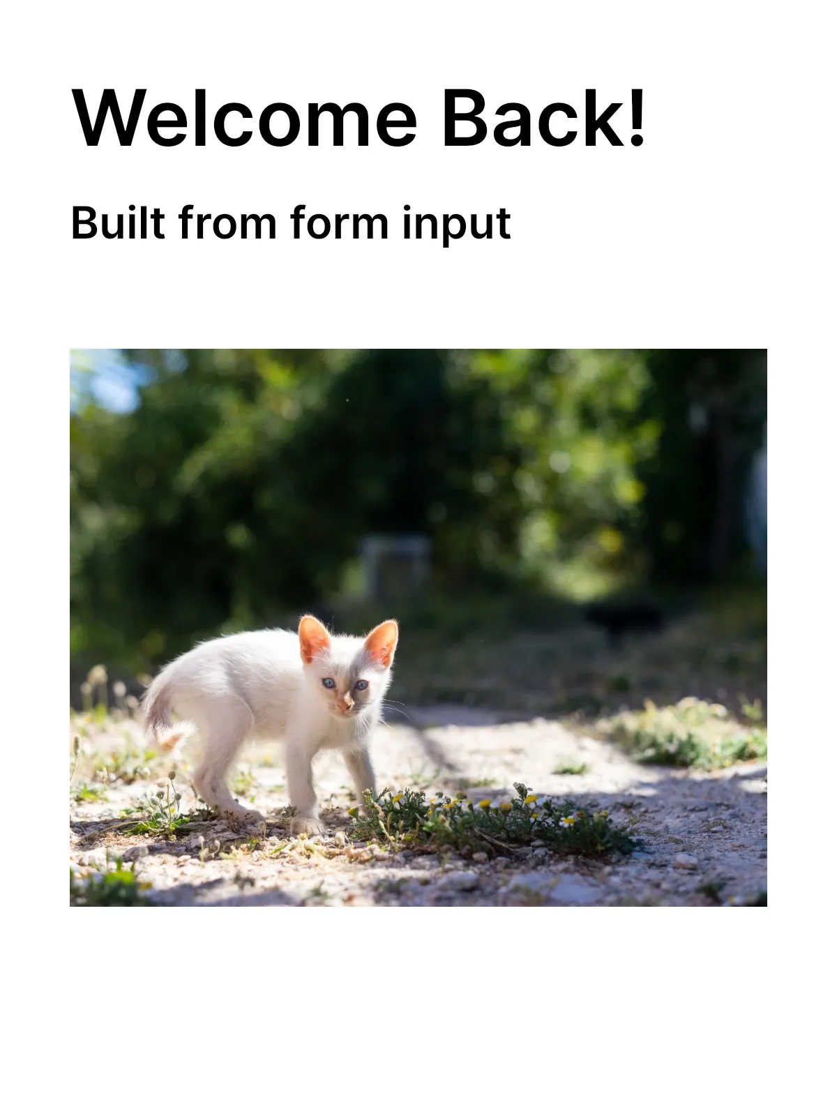 A personalized template rendered by form-based editing — the heading and tagline show variable values substituted into the text, above a swapped placeholder image.