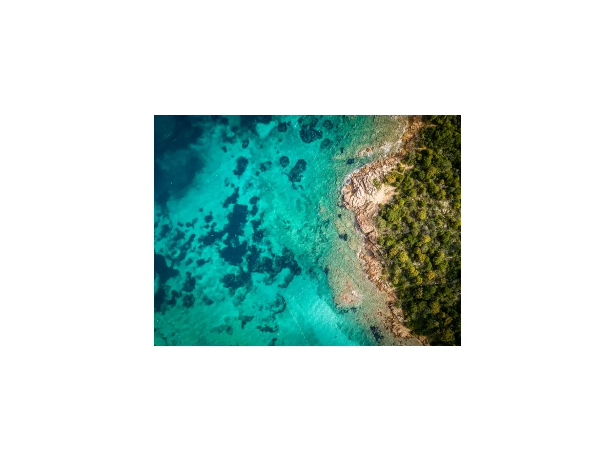 A sample photo resized to 400 by 300 pixels and centered on the page canvas.