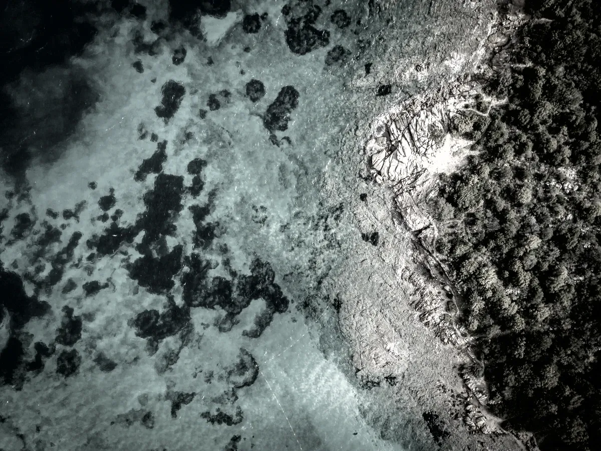 An image block with a custom LUT color grade applied through the effect API