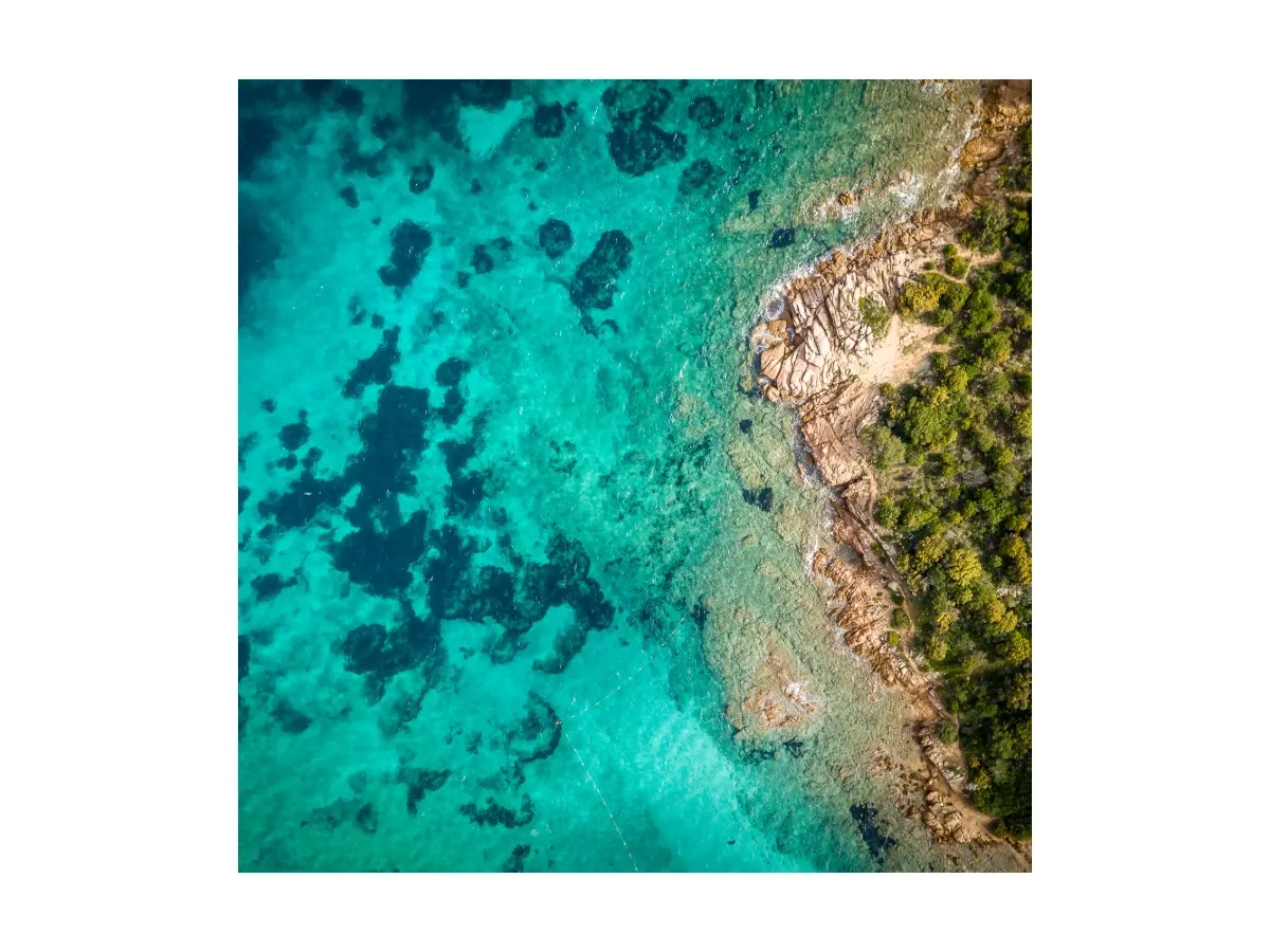 A square graphic block filled with an aerial photograph of an ocean coastline using image fill in Cover mode