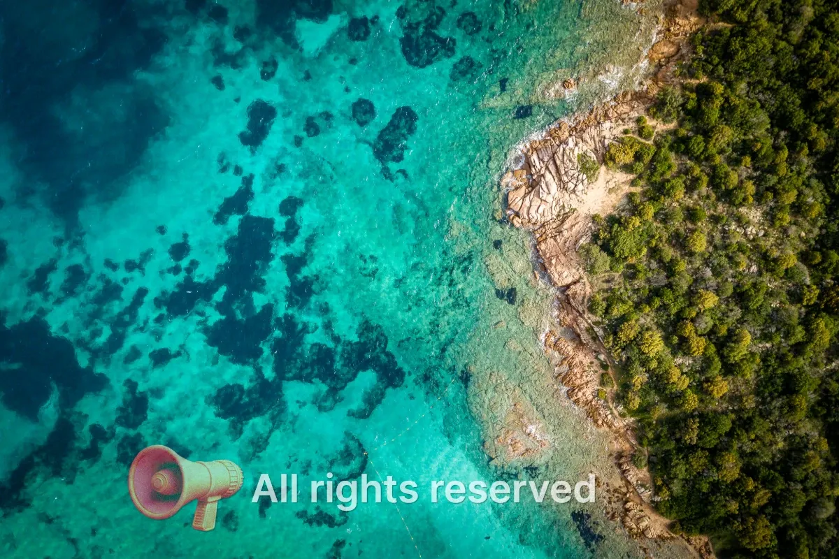 An image with a logo and copyright text watermark anchored to the bottom of the page, both softened by a drop shadow.