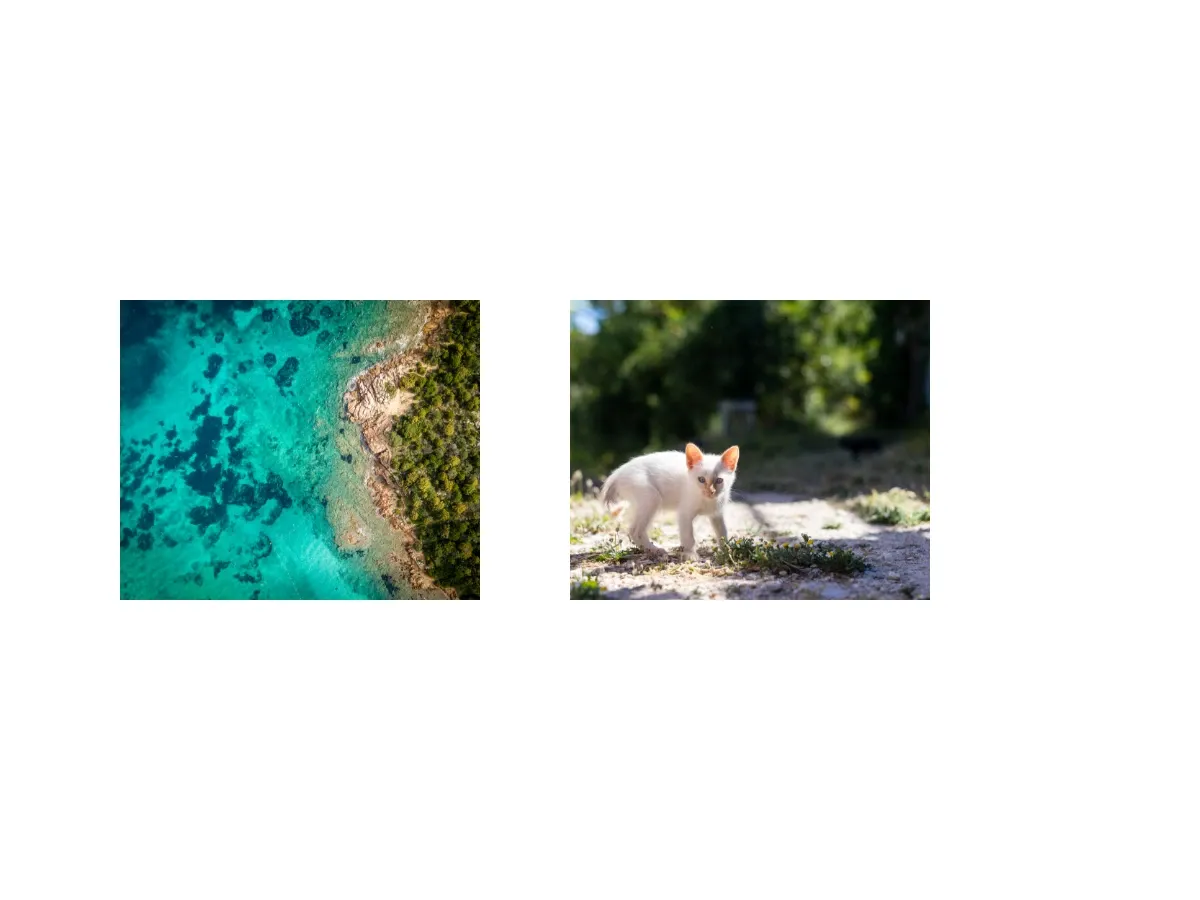 Two images repositioned and grouped on a single page after switching between absolute and percentage position modes.