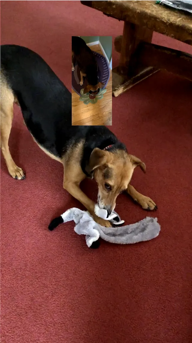 Screenshot of video frame rendered by example code.