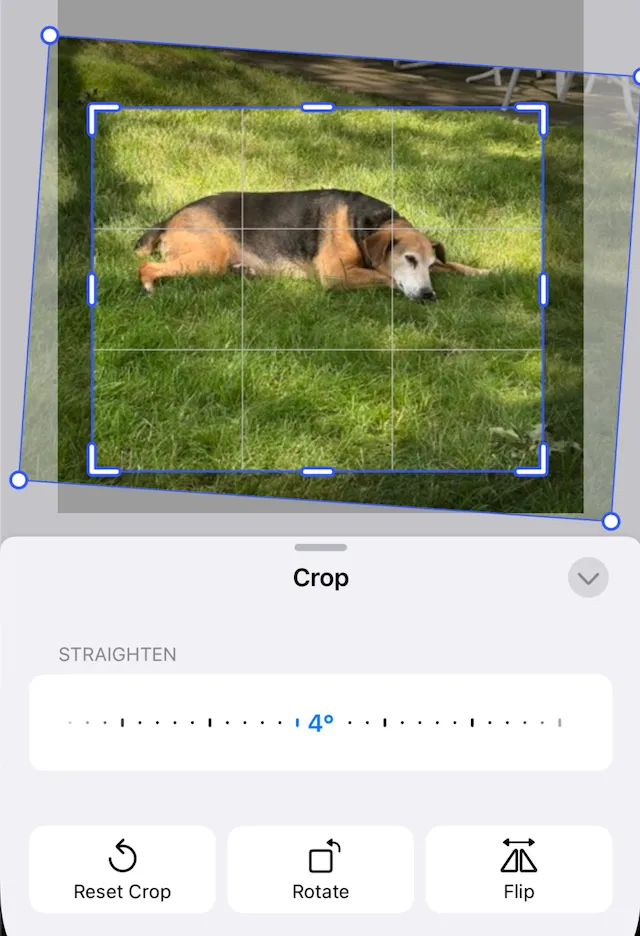 An image that has been scale cropped and rotated slightly showing the cropped and original image.