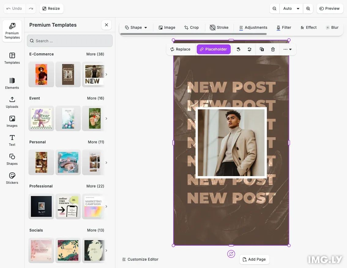 IMG.LY Premium Assets integration