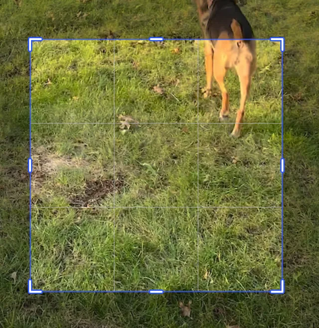 Video cropped using the scale ratio to remain centered