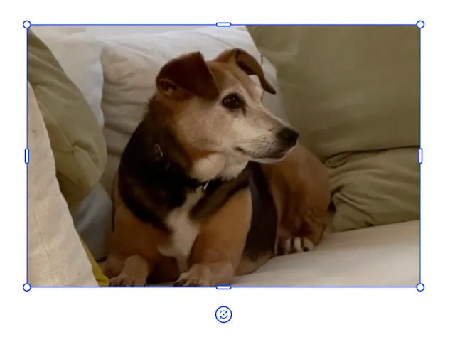 Allowing the engine to scale the image as you adjust the width of the block